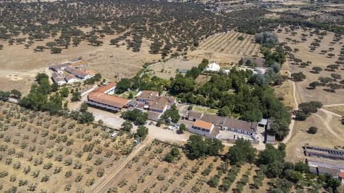 PF28194 - Quinta 16.3 ha, Elvas - Imagem 41