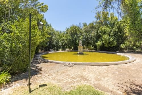 PF28194 - Quinta 16.3 ha, Elvas - Imagem 33