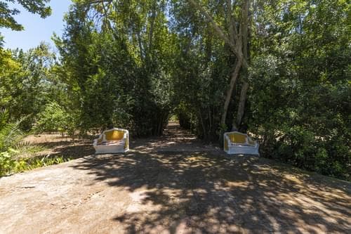 PF28194 - Quinta 16.3 ha, Elvas - Imagem 35