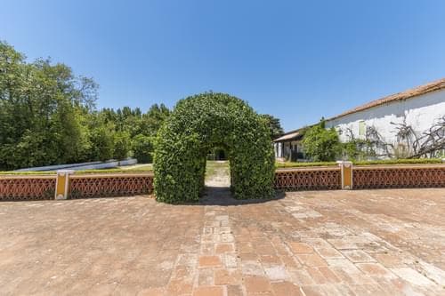 PF28194 - Quinta 16.3 ha, Elvas - Imagem 21
