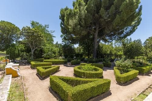 PF28194 - Quinta 16.3 ha, Elvas - Imagem 20