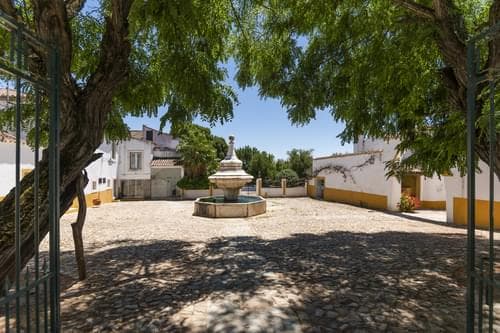 PF28194 - Quinta 16.3 ha, Elvas - Imagem 4