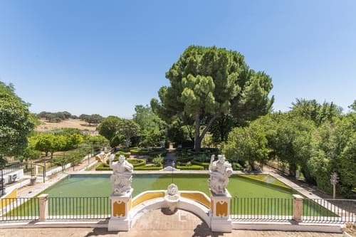 PF28194 - Quinta 16.3 ha, Elvas - Imagem 16
