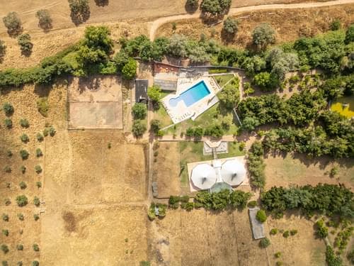 PF28194 - Quinta 16.3 ha, Elvas - Imagem 38