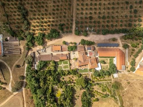 PF28194 - Quinta 16.3 ha, Elvas - Imagem 39