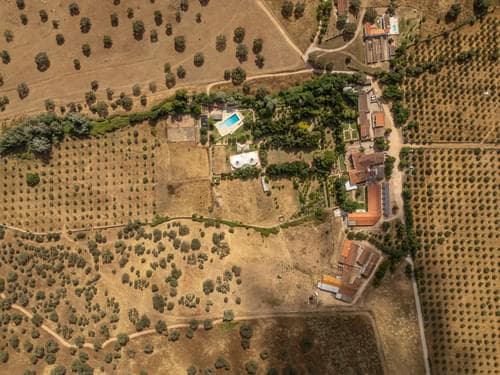 PF28194 - Quinta 16.3 ha, Elvas - Imagem 42