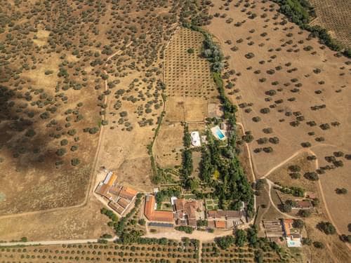 PF28194 - Quinta 16.3 ha, Elvas - Imagem 43