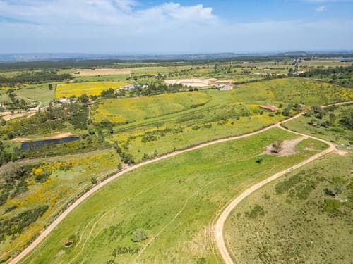 PF28673 - Terreno Misto 25.6 ha, São Teotónio, Odemira - Imagem 10