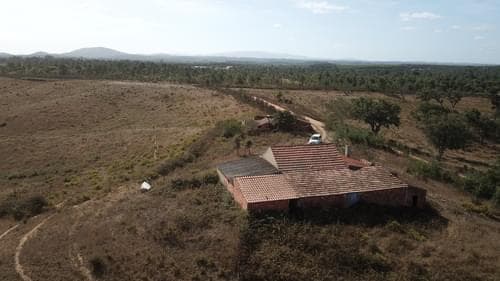 PF28673 - Terreno Misto 25.6 ha, São Teotónio, Odemira - Imagem 18