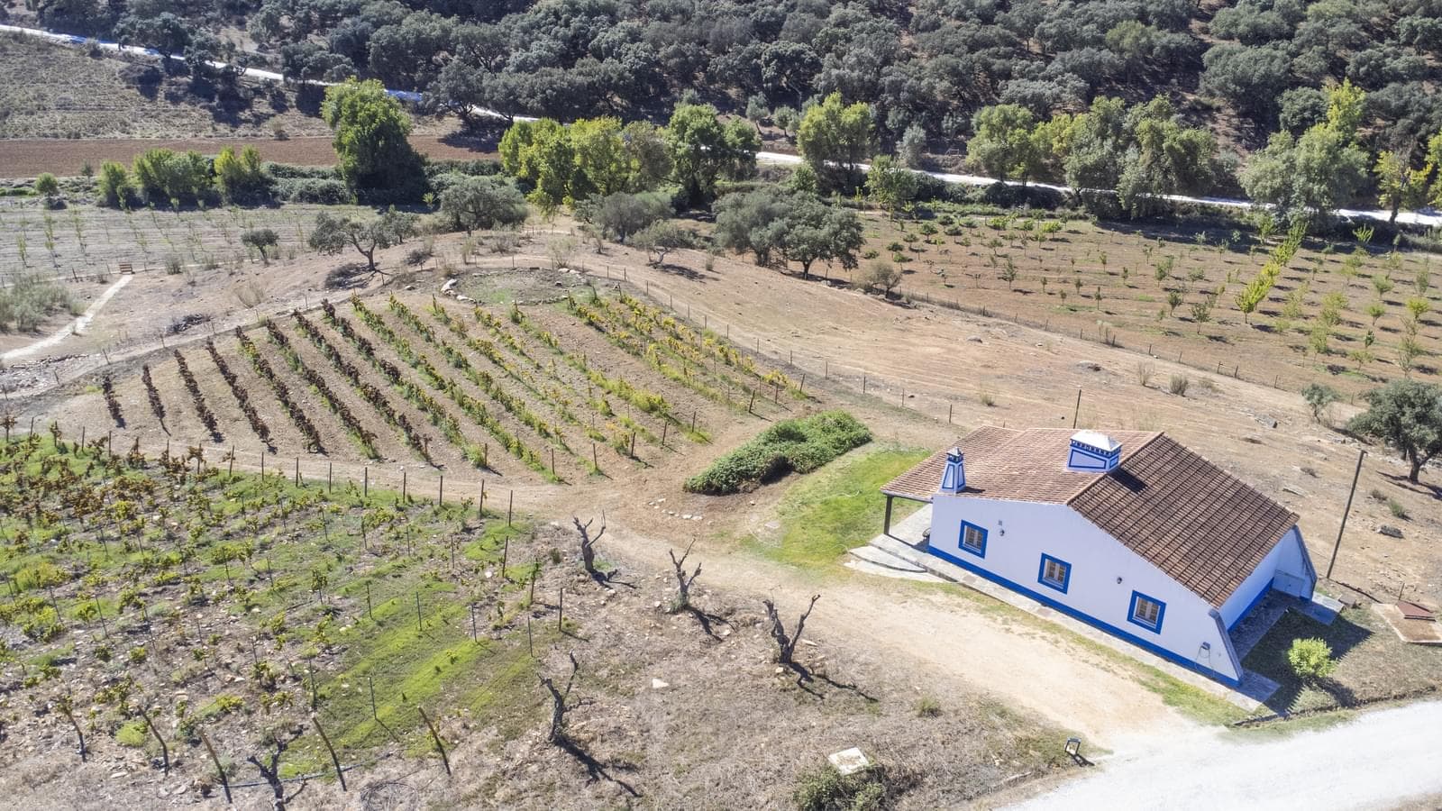 Herdade 22.9 ha, Ciladas, Vila Viçosa - Imagem 82