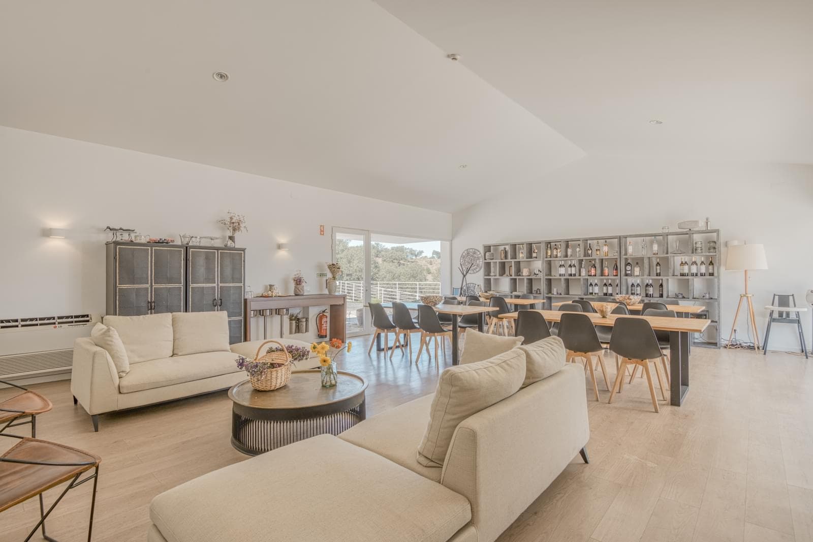 Herdade 22.9 ha, Ciladas, Vila Viçosa - Imagem 91