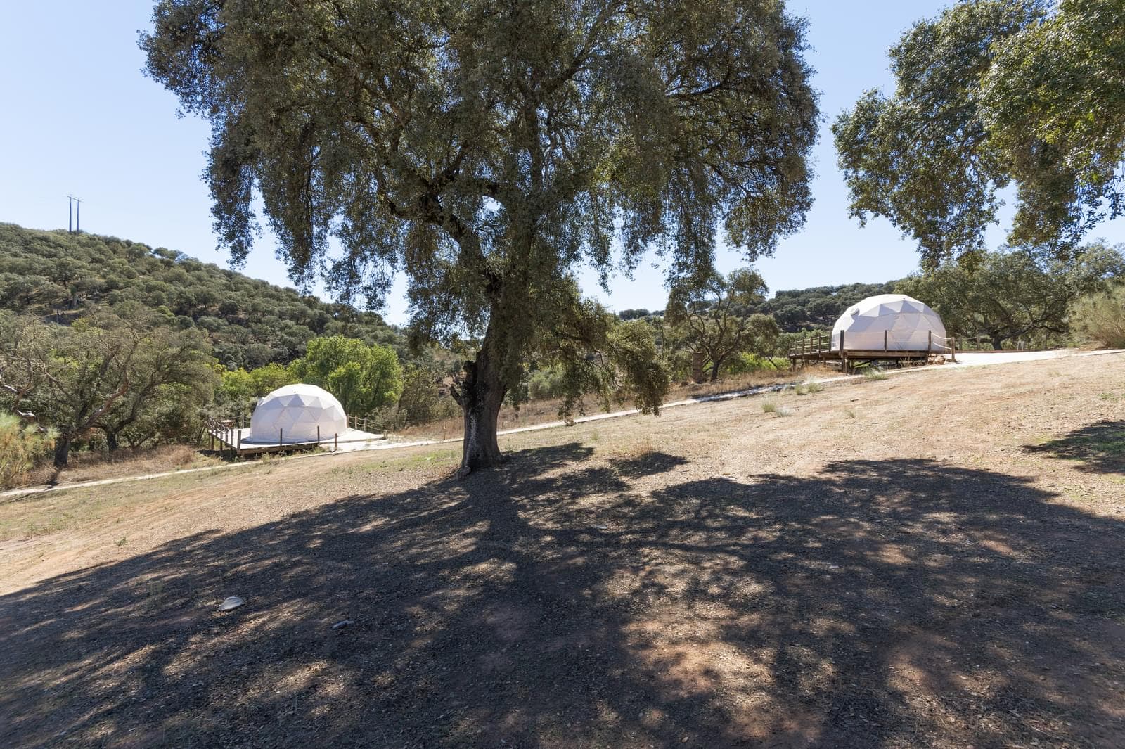 Herdade 22.9 ha, Ciladas, Vila Viçosa - Imagem 100