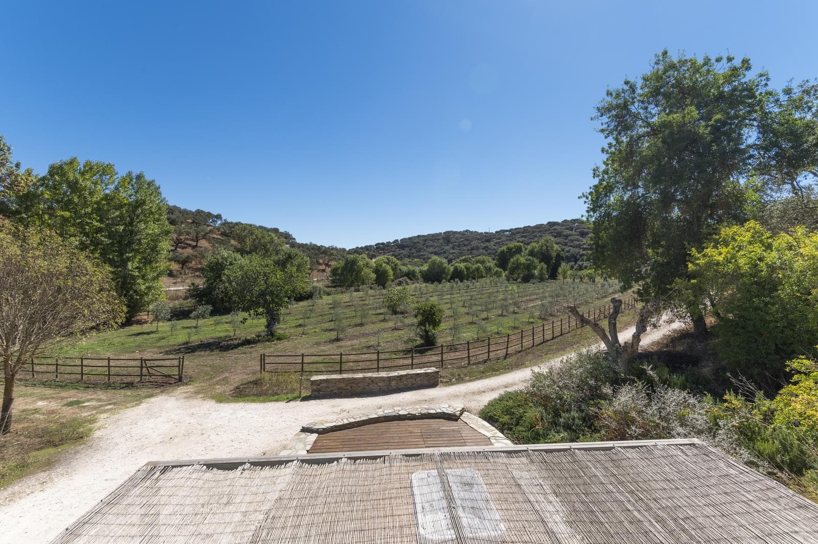 Herdade 22.9 ha, Ciladas, Vila Viçosa - Imagem 81