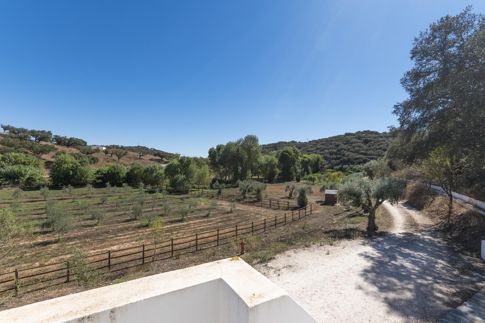 Herdade 22.9 ha, Ciladas, Vila Viçosa - Imagem 65