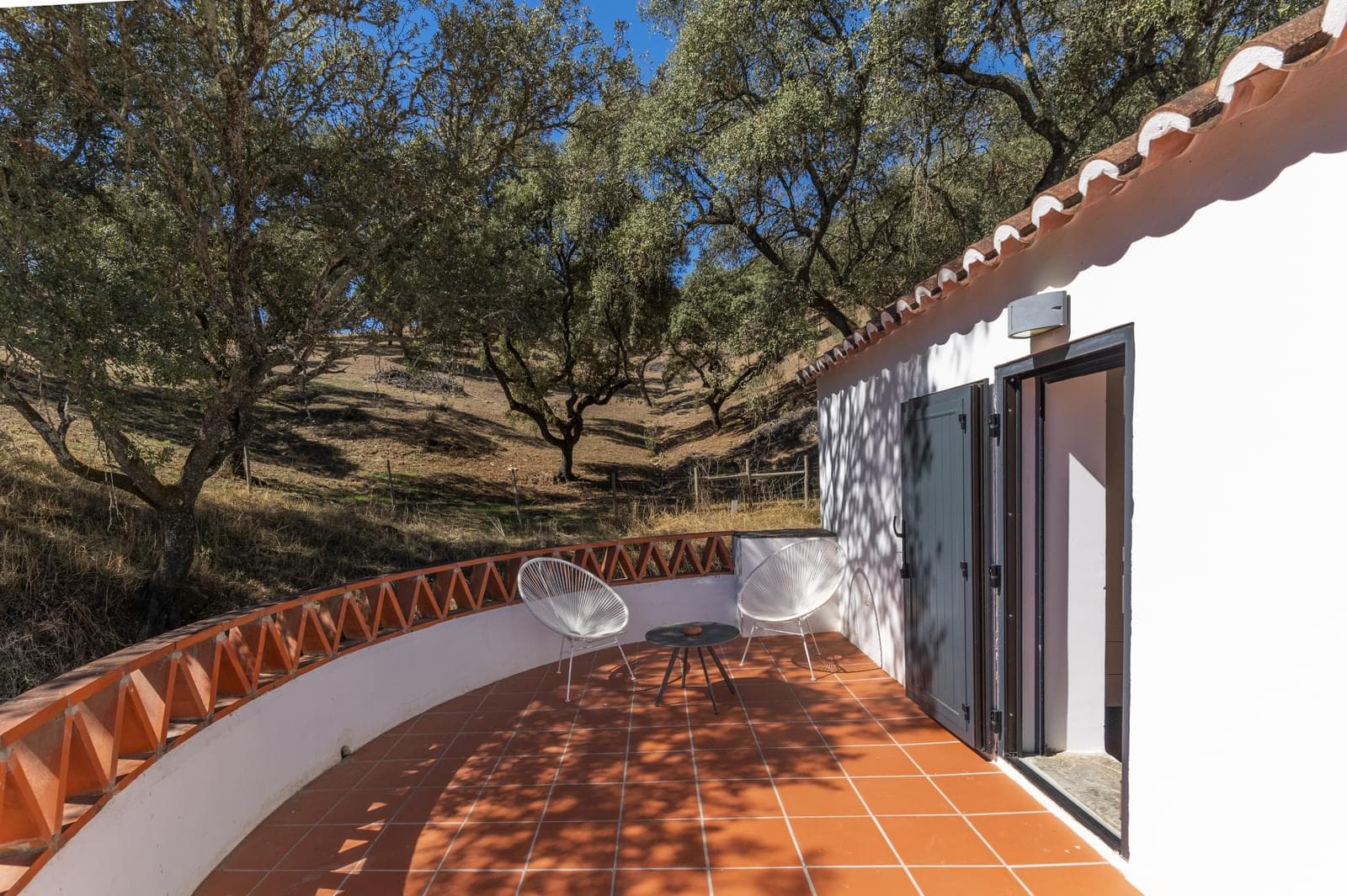 Herdade 22.9 ha, Ciladas, Vila Viçosa - Imagem 63