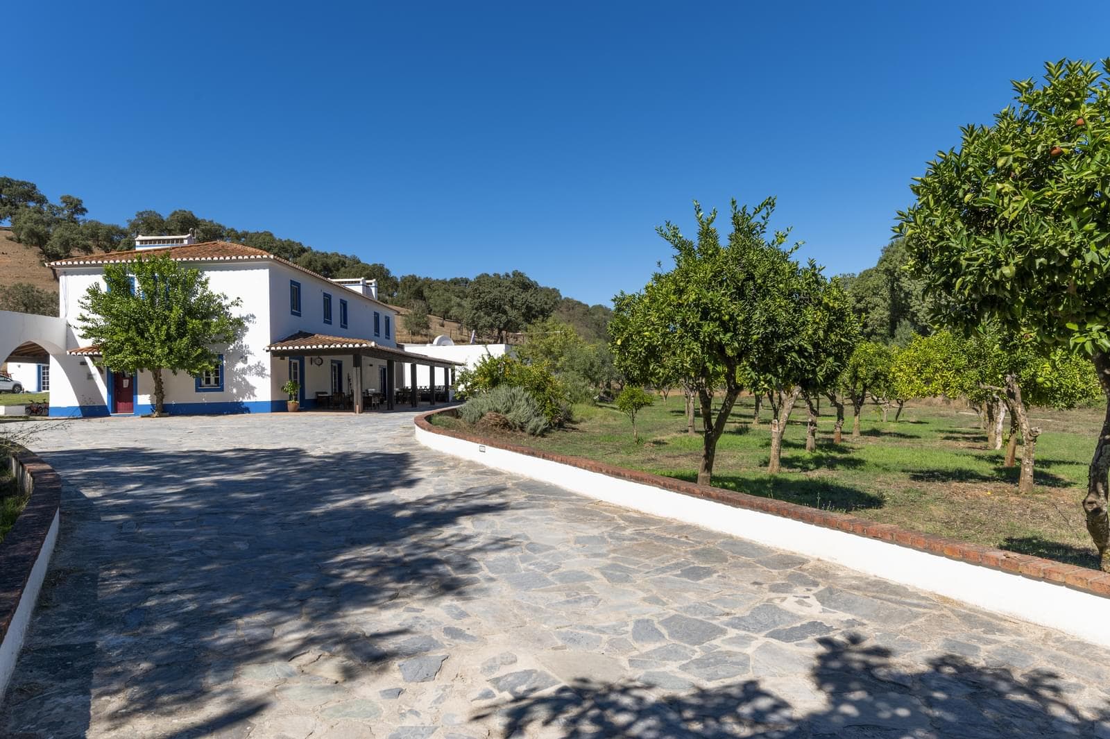 Herdade 22.9 ha, Ciladas, Vila Viçosa - Imagem 6