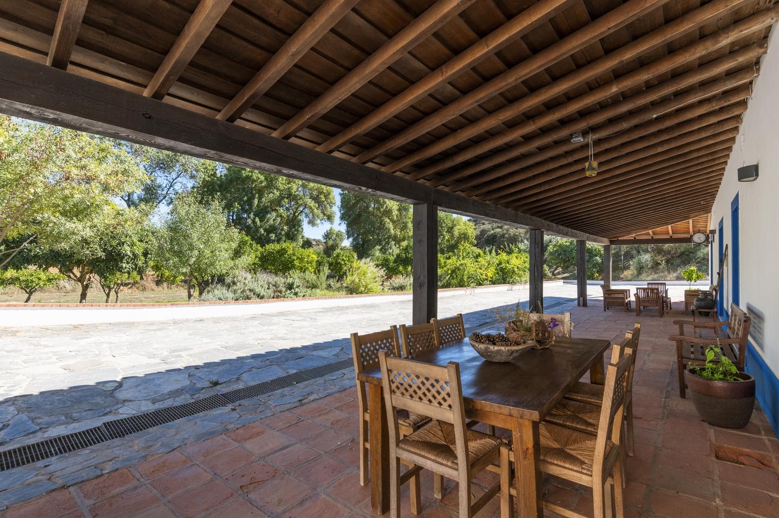 Herdade 22.9 ha, Ciladas, Vila Viçosa - Imagem 11