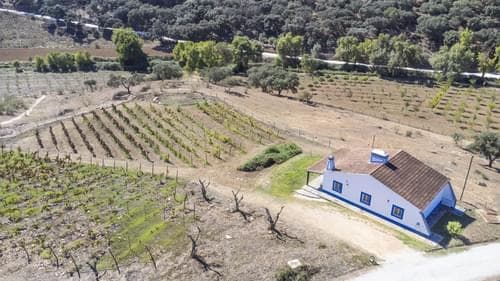PF28688 - Herdade 22.9 ha, Ciladas, Vila Viçosa - Imagem 82