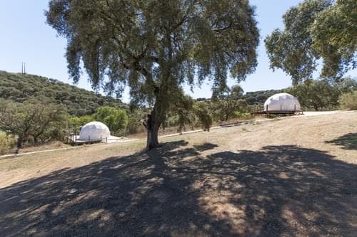 PF28688 - Herdade 22.9 ha, Ciladas, Vila Viçosa - Imagem 100