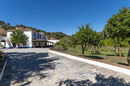 PF28688 - Herdade 22.9 ha, Ciladas, Vila Viçosa - Imagem 6