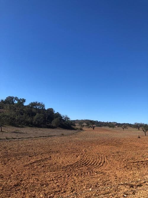 PF29255 - Terreno Rústico 14.0 ha, Cercal do Alentejo, Santiago do Cacem - Imagem 11