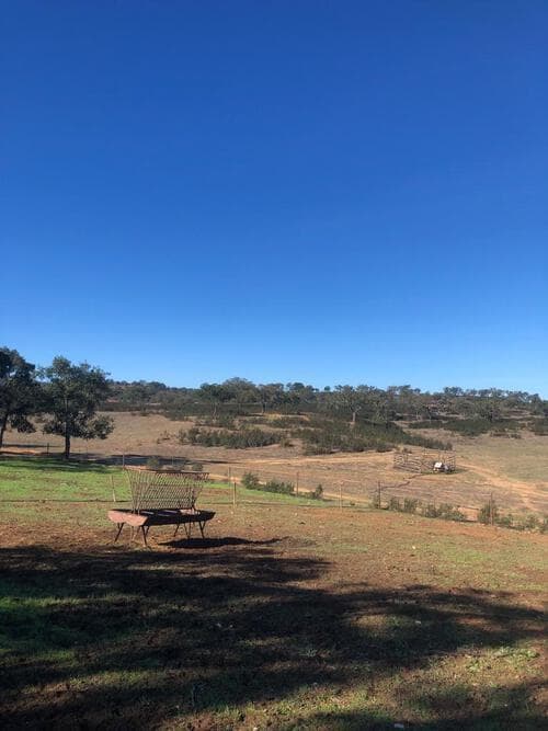 PF29255 - Terreno Rústico 14.0 ha, Cercal do Alentejo, Santiago do Cacem - Imagem 1