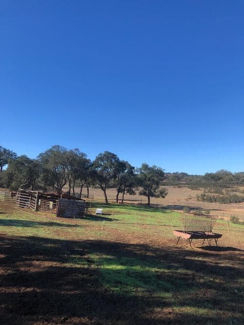 PF29255 - Terreno Rústico 14.0 ha, Cercal do Alentejo, Santiago do Cacem - Imagem 14