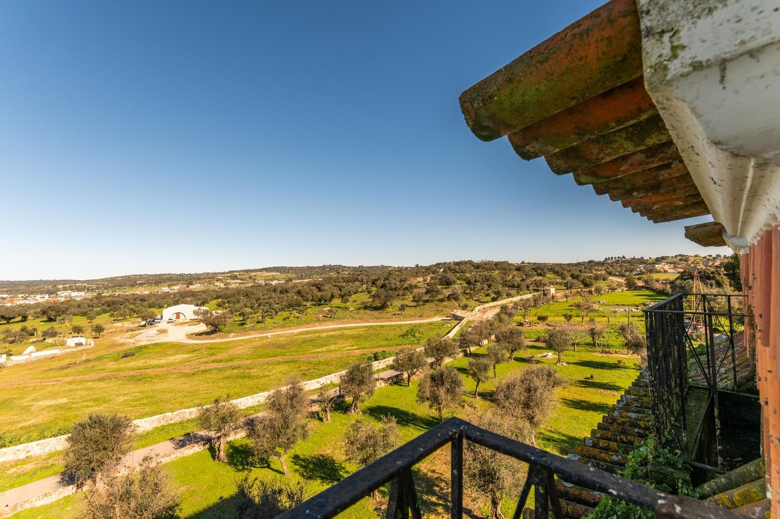 Quinta 5.7 ha, Évora - Imagem 38