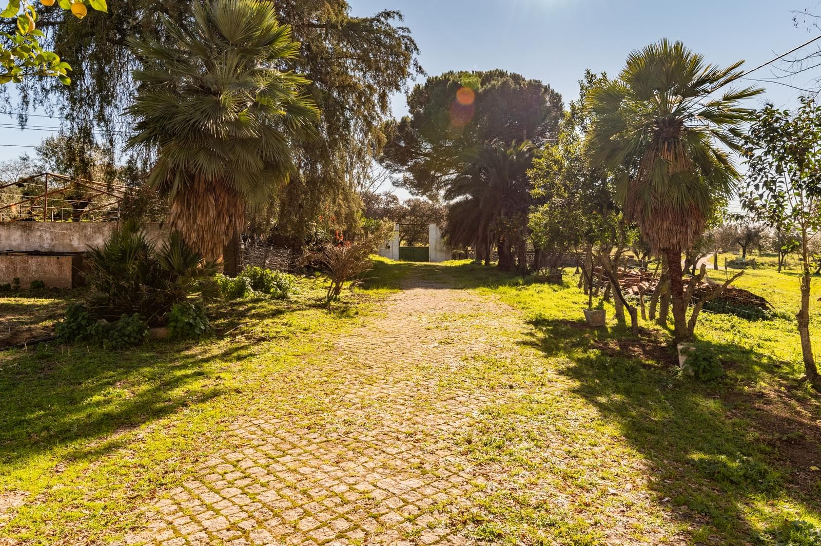 Quinta 5.7 ha, Évora - Imagem 37