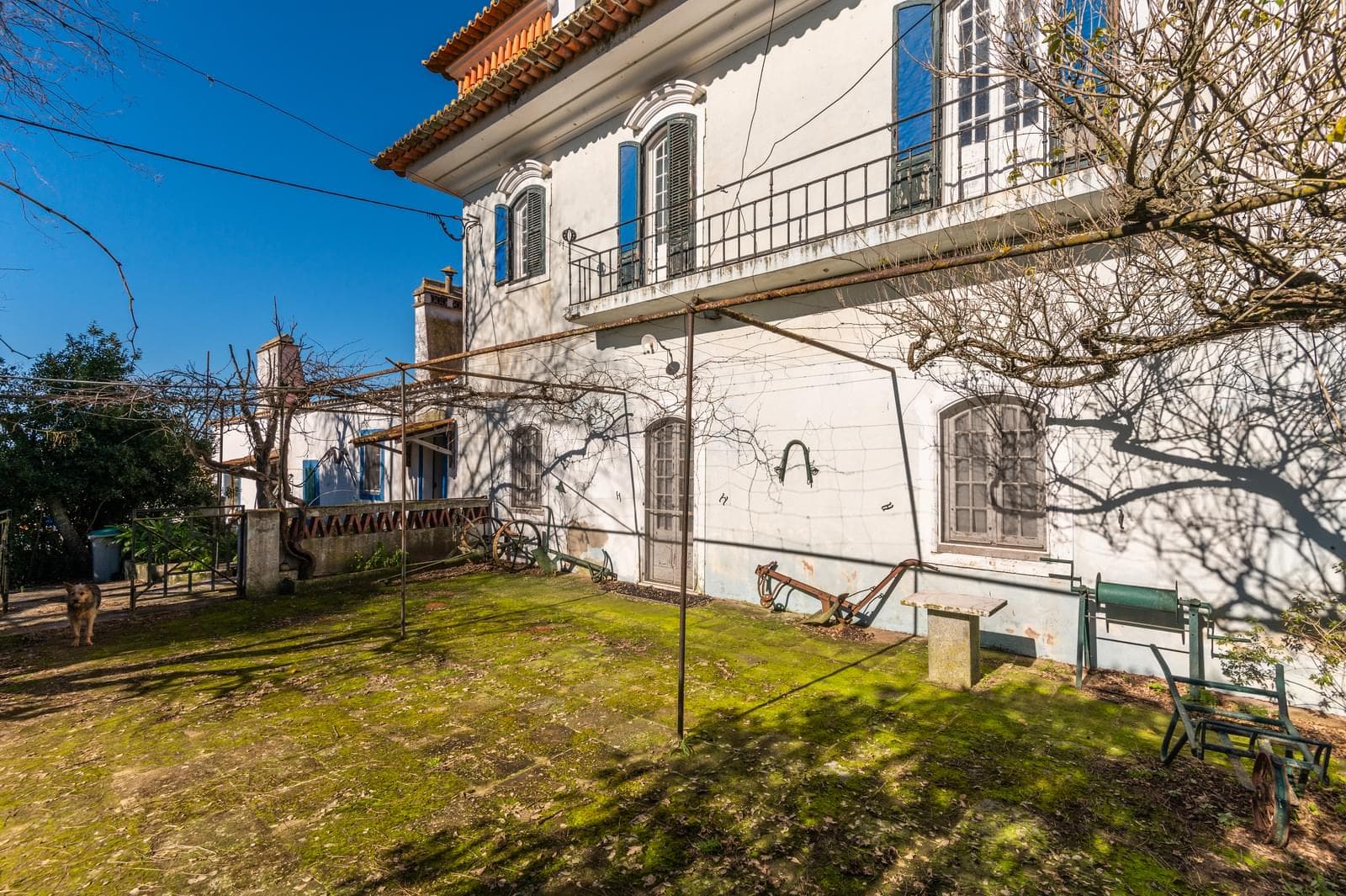 Quinta 5.7 ha, Évora - Imagem 9