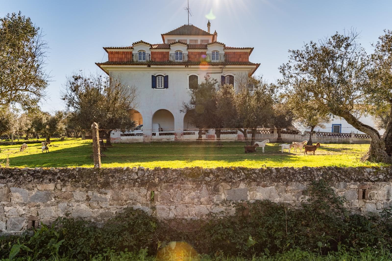 Quinta 5.7 ha, Évora - Imagem 3