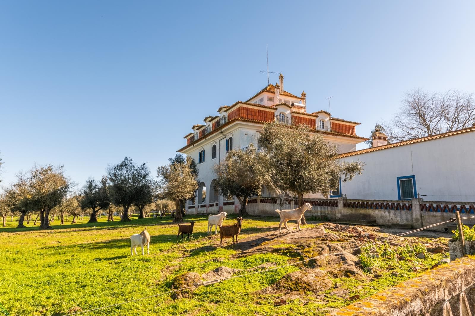 Quinta 5.7 ha, Évora - Imagem 6
