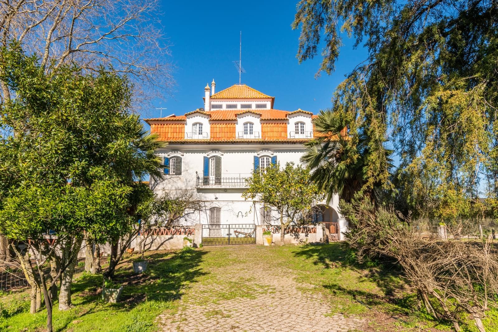 Quinta 5.7 ha, Évora - Imagem 2