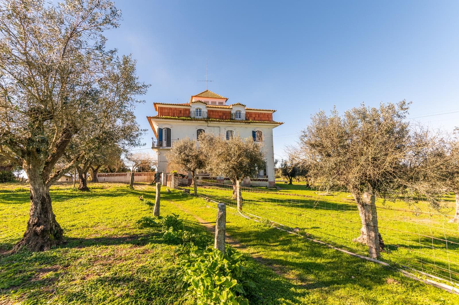 Quinta 5.7 ha, Évora - Imagem 5