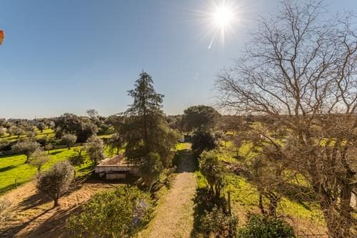 PF29383 - Ferme 5.7 ha, Évora - Image 36