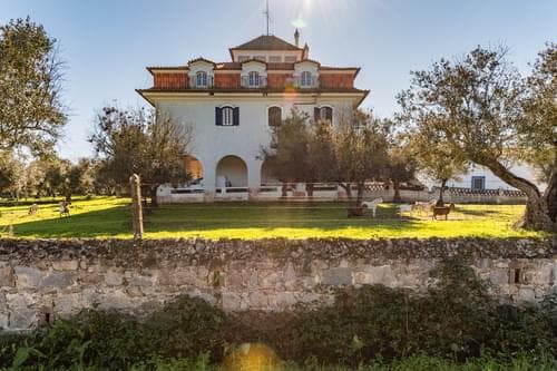 PF29383 - Ferme 5.7 ha, Évora - Image 3