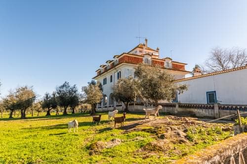 PF29383 - Ferme 5.7 ha, Évora - Image 6