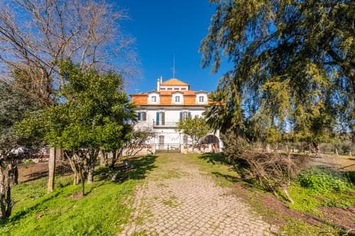PF29383 - Ferme 5.7 ha, Évora - Image 1