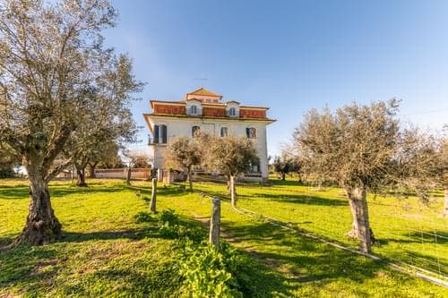 PF29383 - Ferme 5.7 ha, Évora - Image 5
