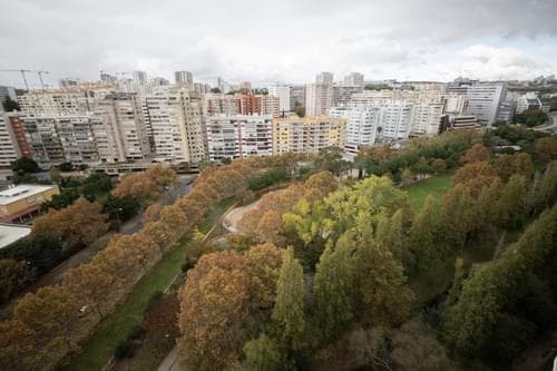 PF29530 - Rio Mirear - Imagem 21