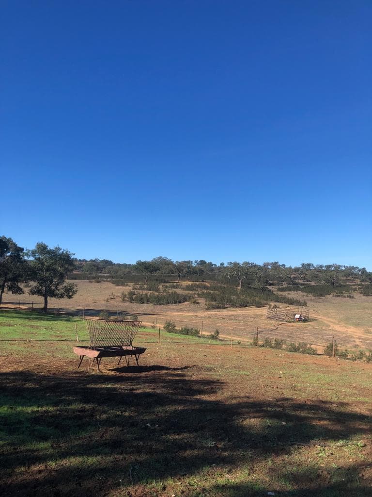 Terrain rustique 30.2 ha, Cercal do Alentejo, Santiago do Cacem - Image 1