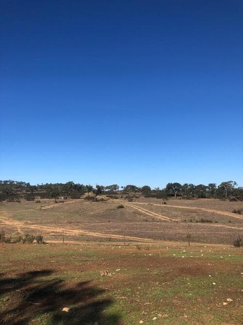 PF29941 - Terreno Rústico 30.2 ha, Cercal do Alentejo, Santiago do Cacem - Imagem 19