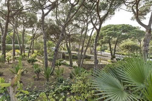 PF40180 - Terrain 7099 m2, Estoril, Cascais - Image 18