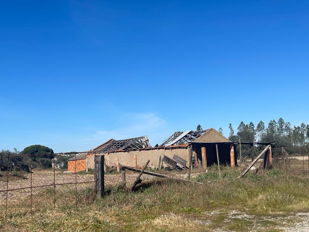 Terreno Misto 4.0 ha, Grandola - Imagem 13