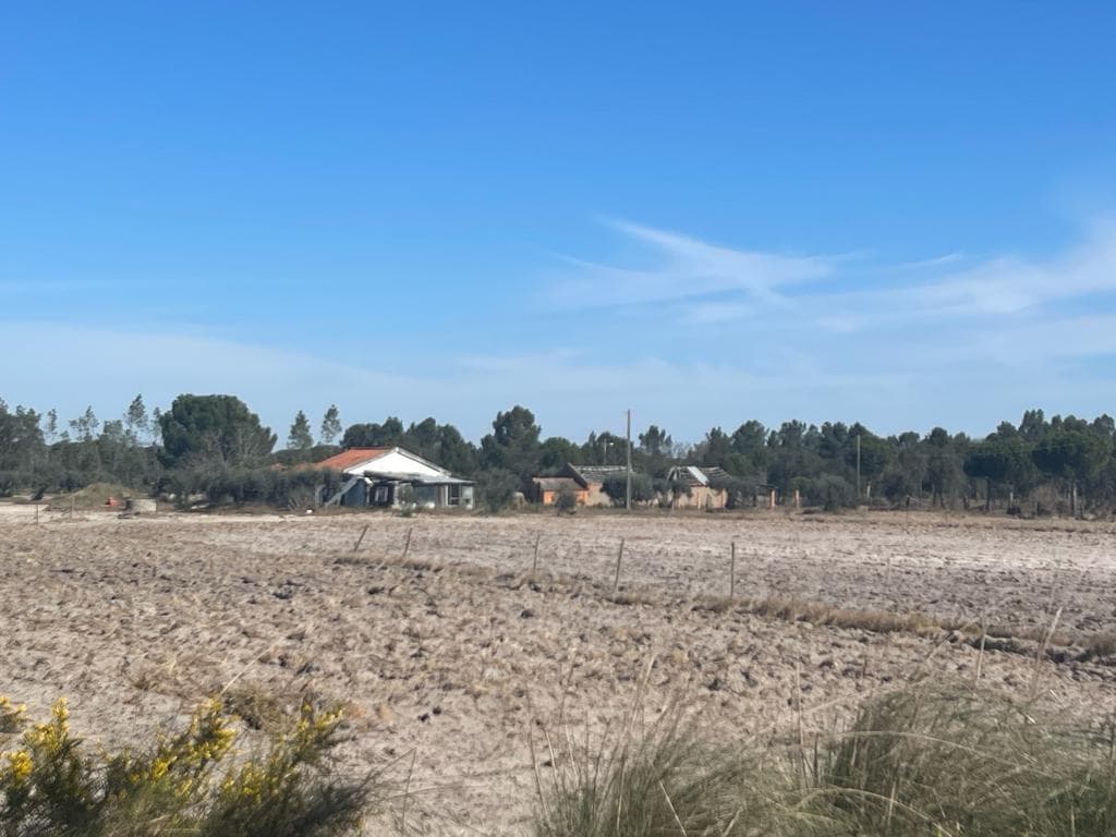 Terreno Misto 4.0 ha, Grandola - Imagem 14