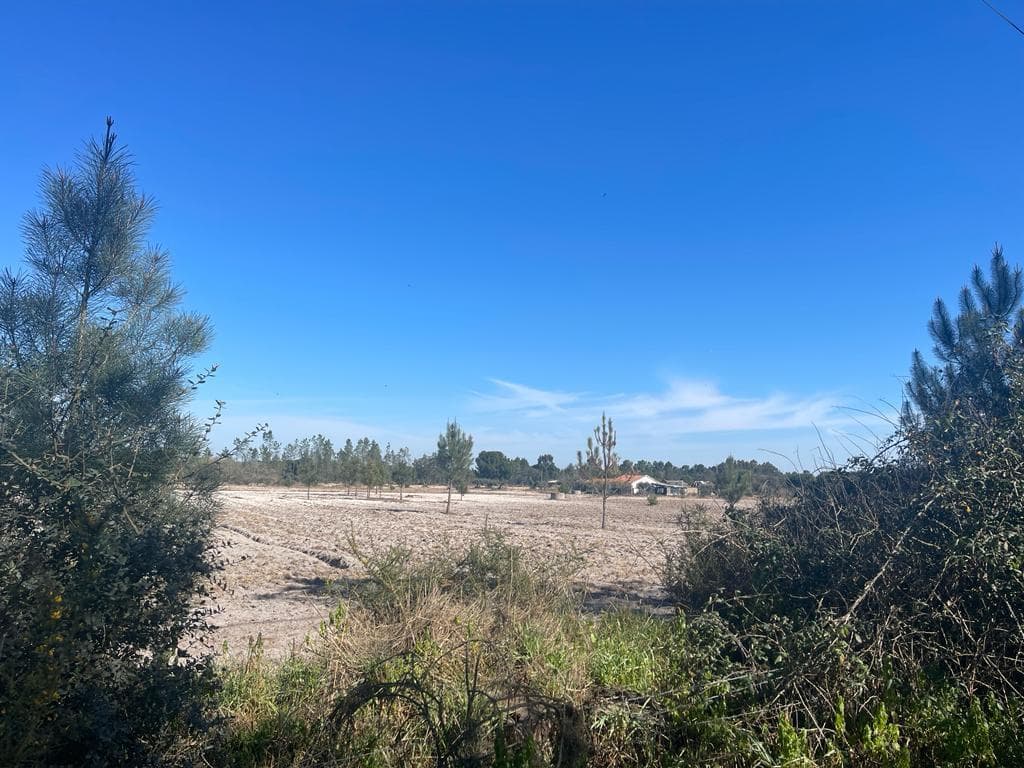 Terreno Misto 4.0 ha, Grandola - Imagem 17