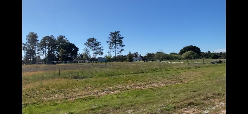 Terreno Misto 4.0 ha, Grandola - Imagem 20