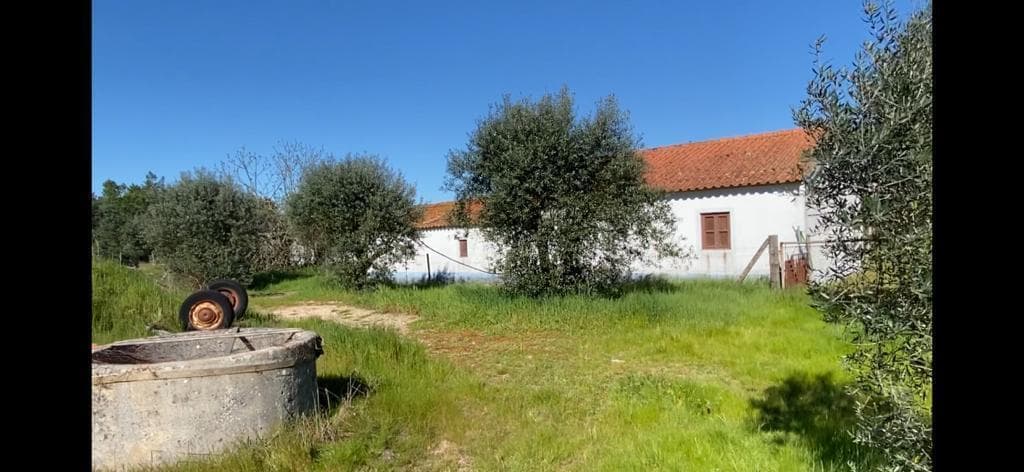 Terreno Misto 4.0 ha, Grandola - Imagem 9