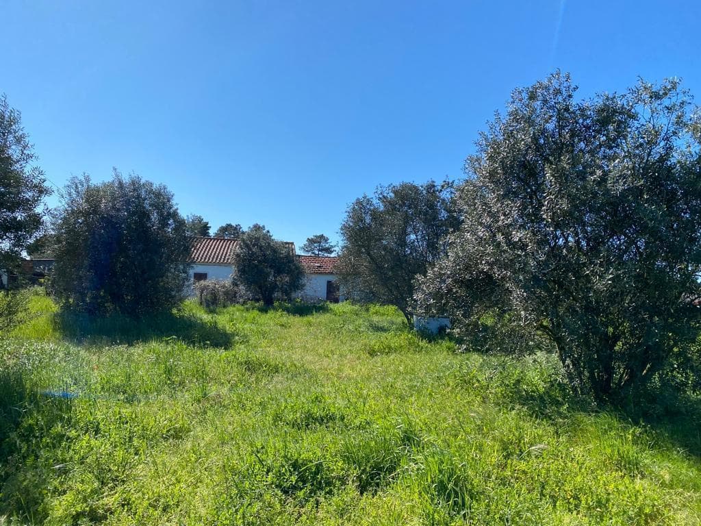 Terreno Misto 4.0 ha, Grandola - Imagem 12