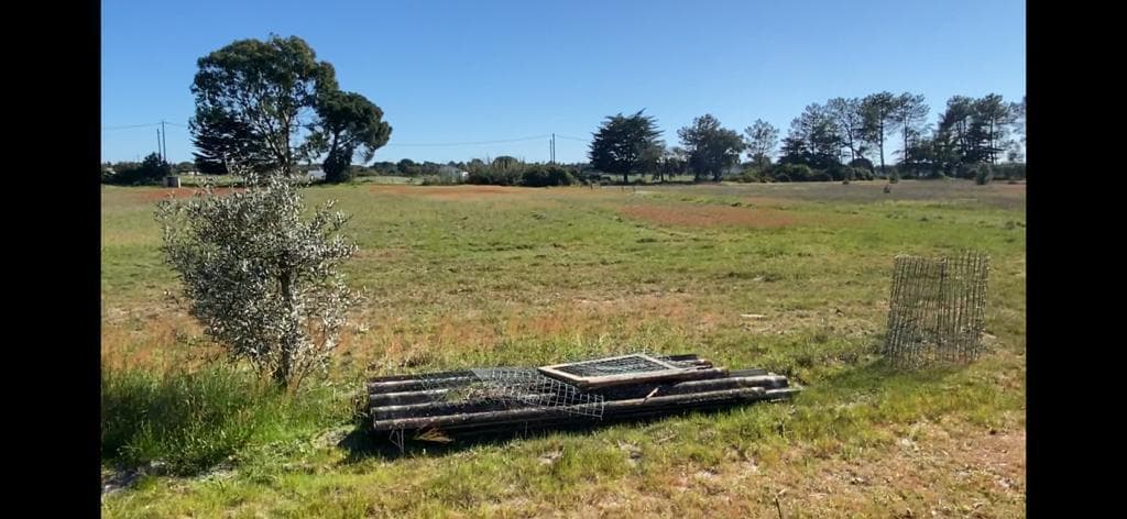 Terreno Misto 4.0 ha, Grandola - Imagem 21